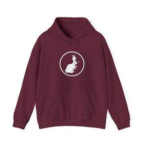 The Follow the White Rabbit Hoodie