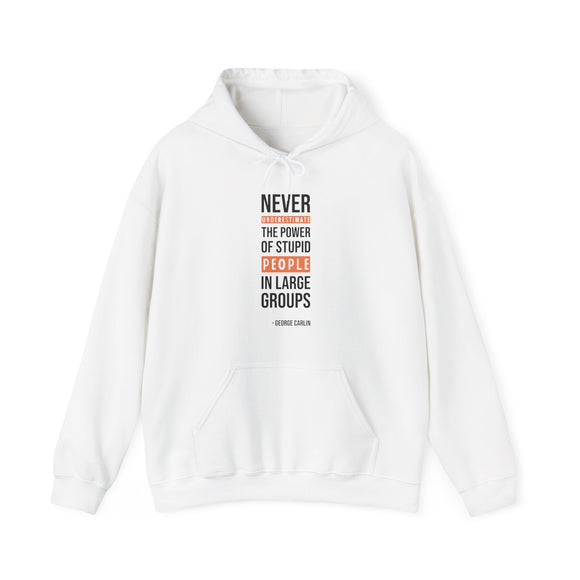 Never Underestimate Stupid People Hoodie